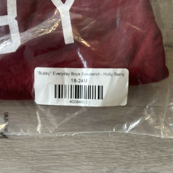 Ford and Wyatt X Little Bipsy Bubby Sweatshirt Holly Berry 18-24 M NWT IN PKG - Picture 4 of 9